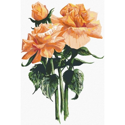 Zuty Malování Podle Čísel Oranžové Růže Alexandria Gilbert 40 x 50 Cm Plátno