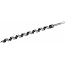 Festa 20725