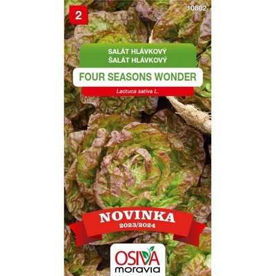 Aros Semena Salát hlávk. 4 Seasons Wonder (Lactuca capitata)
