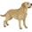 Papo Фигурка Papo Dog and Cat Companions - Лабрадор (54029)