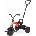 Qplay Ant Plus Red