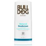 BULLDOG Peppermint & Eucalyptus roll-on 75 ml
