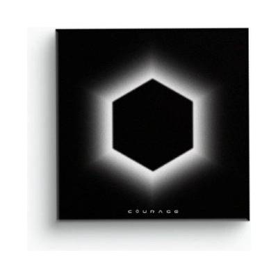 Daniel Shopping s. r. o IÖN: Cöurage - CD (076953)