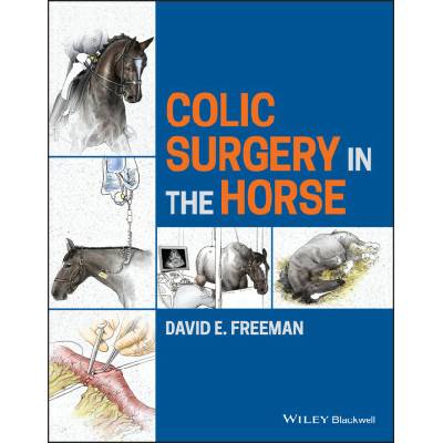 Colic Surgery in the Horse
