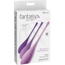 Pipedream Fantasy for Her Kegel Train-Her Set