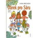 Knihy Dárek pro Sáru - Březinová Ivona