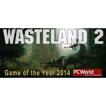 Wasteland 2 (Director's Cut)