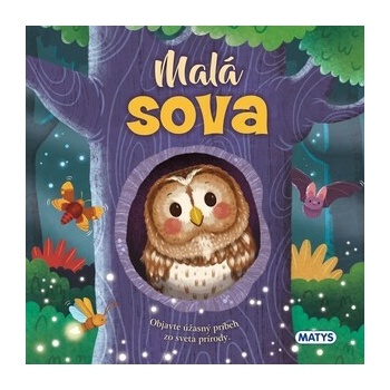 Malá sova