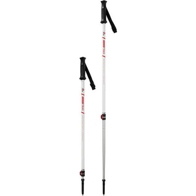 MSR DynaLock Trail 2 100-140 cm