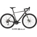 Kellys Soot 50 2024