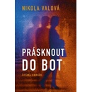 Prásknout do bot