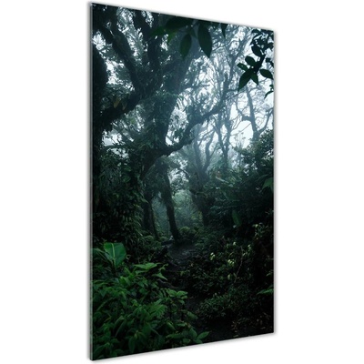 Vertikálny foto obraz sklo tvrdené Dažďový prales 50x100 cm