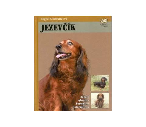Jezevčík
