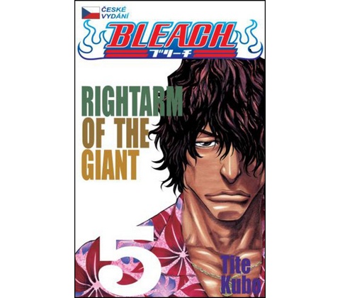 Bleach 5