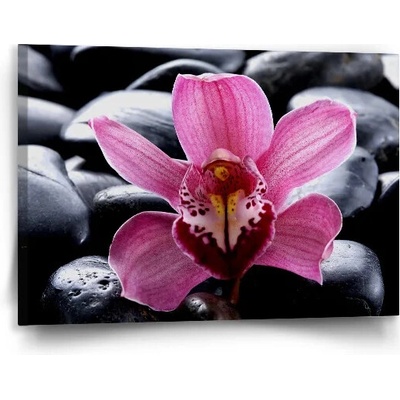 Sablio Obraz Ružová orchidea - 90x60 cm