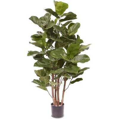 Umelá rastlina Ficus lyrata branched 105 cm