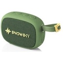 FiiO Snowsky Anywhere