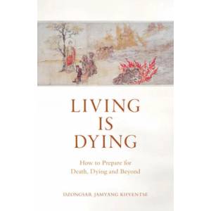 Living is Dying (ISBN: 9781611808070)