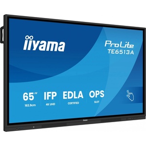 iiyama ProLite TE6513A-B3AG