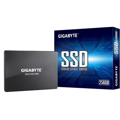 Gigabyte 256GB, GP-GSTFS31256GTND