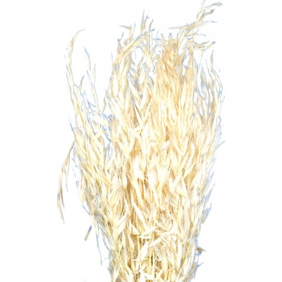 Sušená avena bílá 80 g