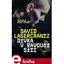 Dívka v pavoučí síti - David Lagercrantz