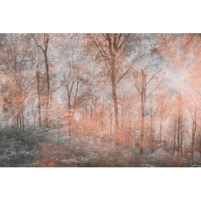 DIMEX MS-5-0390 vliesová fototapeta rozměry 375 x 250 cm
