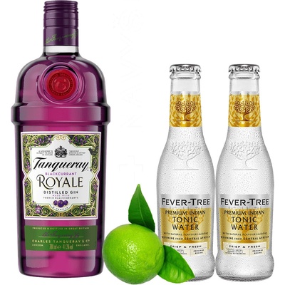 Tanqueray Blackcurrant Royale 41,3% 0,7 l (čistá fľaša)