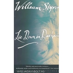 Lie Down in Darkness | William Styron (ISBN: 9780679735977)