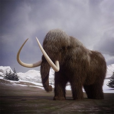 (D) 3D pohľadnica štvorec Mammoth