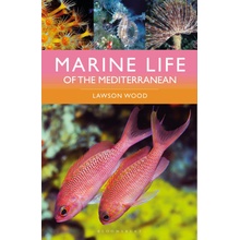 Marine Life of the Mediterranean - Wood Lawson