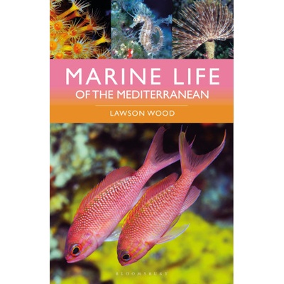 Marine Life of the Mediterranean - Wood Lawson