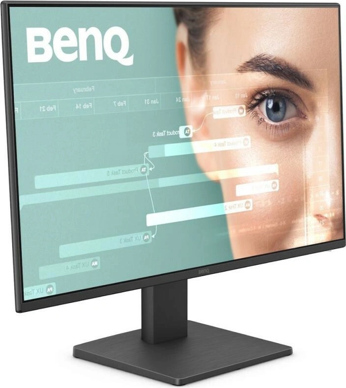 BenQ GW2491