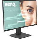 BenQ GW2491
