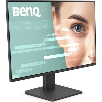 BenQ GW2491