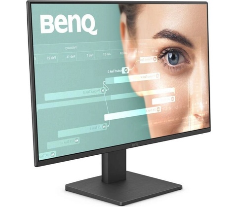 BenQ GW2491