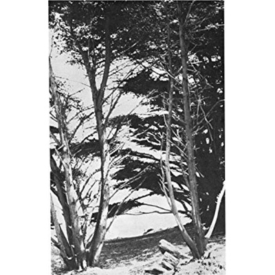DEITRICK RICK: GENTLE WILDERNESS LP