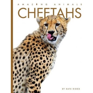 Cheetahs | Riggs, Kate (ISBN: 9781628329117)