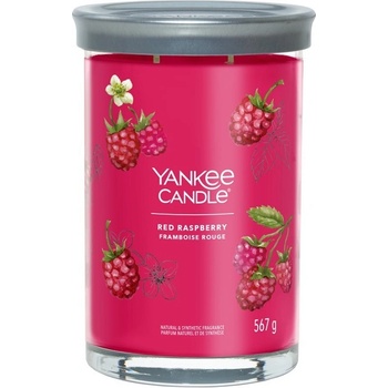 Yankee Candle Signature Red Raspberry Tumbler 567g