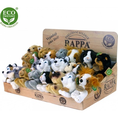 Eco-Friendly Displej exkluzivní psi a kočky