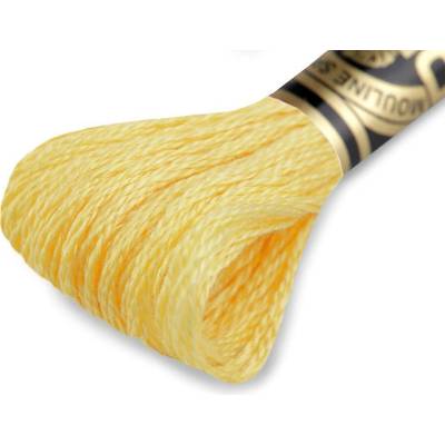 Vyšívací příze DMC Mouliné Spécial Cotton Varianta: 727 citrine, Balení: 1 ks 27729/15784/174404