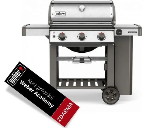 Weber Genesis II S-310
