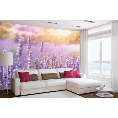 Dimex MA-5-1389 Samolepicí vliesová fototapeta na zeď Horská levandule rozměry 375 x 250 cm