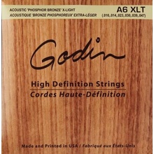 Godin Strings Acoustic Guitar XLT