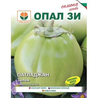 Opal Zi Патладжан Зелен сорт Успех