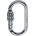 Camp Oval PRO Lock
