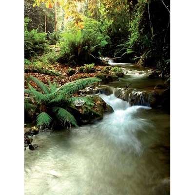 Preinterier Fototapeta panel - PL0186 - Jeleň v lese vlies - 206cm x 275cm