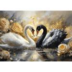 Trefl - Puzzle Premium Plus : Beautiful Swans - 1 000 piese