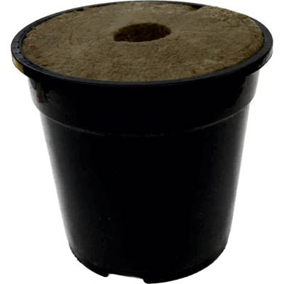 Agra-Wool Gerbera Pot 3,3L