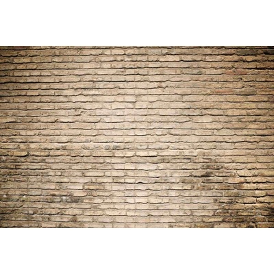 Dimex MS-5-2657 Vliesová fototapeta Cihlové pozadí rozměry 375 x 250 cm